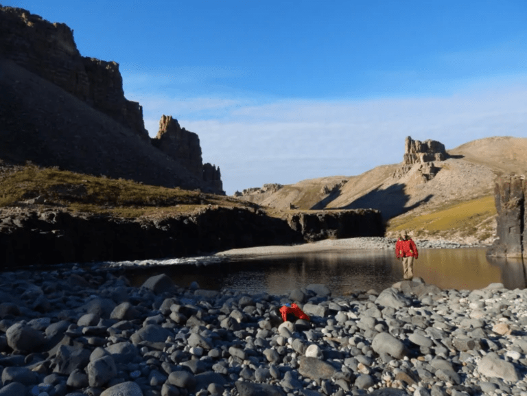 Screen Shot 2019-07-14 at 10.37.51 AM